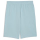 ESS No. 1 Logo Shorts 10"